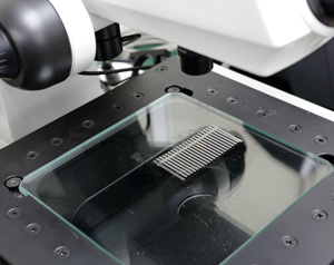 Microscope